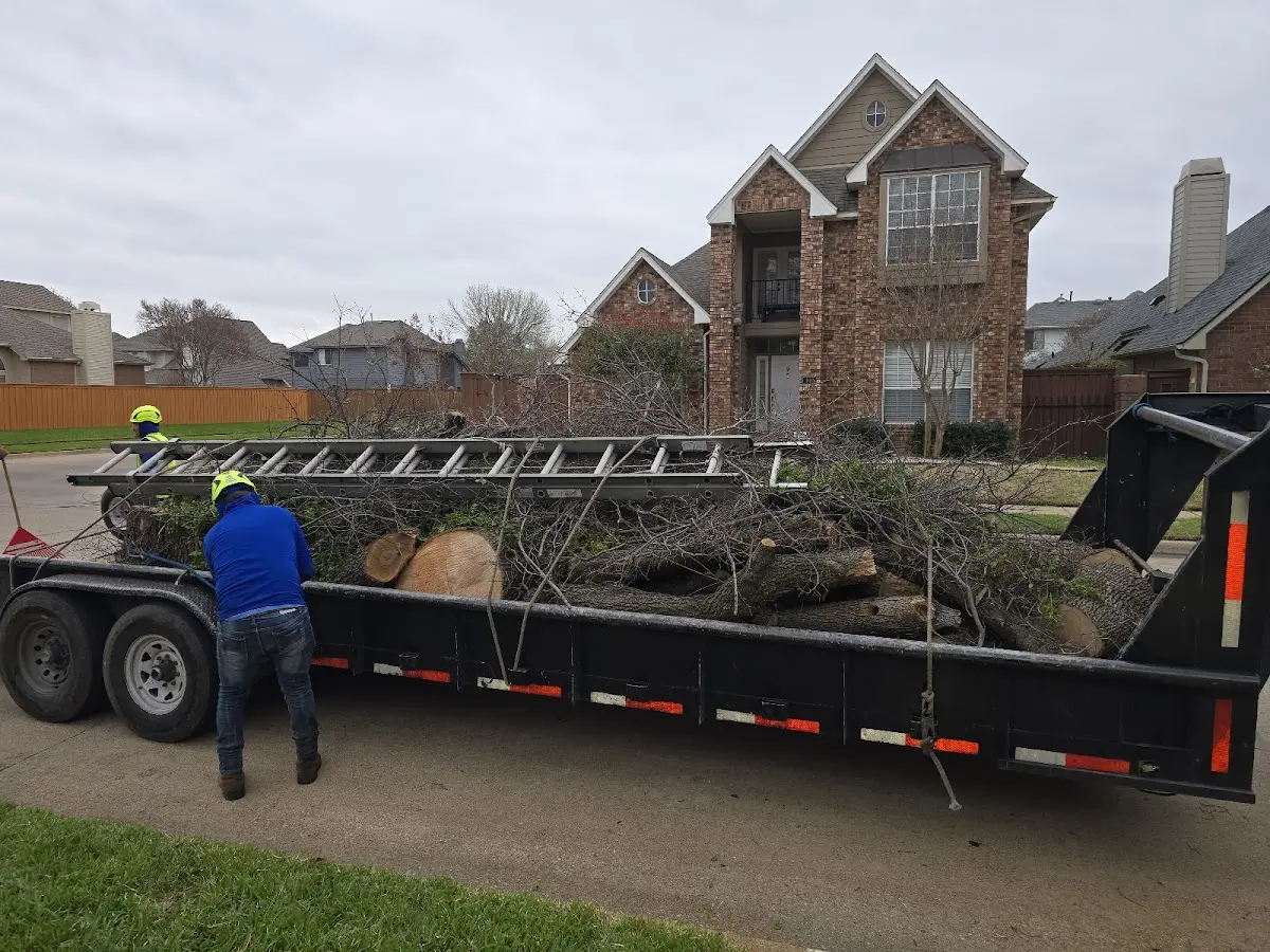 Expert Tree Removal with proper safety equipment in Williamsfield